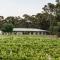 Solterra & Vine Estate Accommodation Bendigo