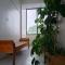 Maui Homestay
