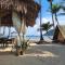 Island Crib
