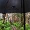 Margarets Forest