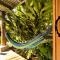 Casa Salvaje Vacation Rentals