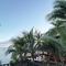 Las Palmeras OceanView Hotel and Dive Center