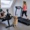 Fitness loft 50 m2