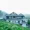 Vythiri Misty Wind Holiday Homes