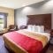Econo Lodge Baton Rouge University Area