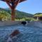 Maison en pierre, piscine, spa