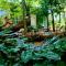 Nethu Herbal Villa