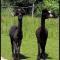 Landhaus Pfahlershof