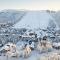 Levin Stara A04 by Holiday in Lapland