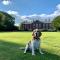 Bosworth Hall Hotel & Spa