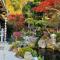 Guest house Mitaki