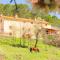Casa Rural Mirabueno