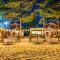 Arugam Bay Holiday