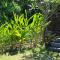 Cozy 2BR House Near Pering Beach Gianyar Bali