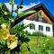 Estate Ana