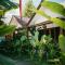 Anjani Larva Cottage - Homestay and Eatery