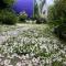 Maison-Philo Homestay B & B