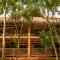 Treehouse Tulum H2Ojos