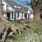 The Wandering Donkey Guest House