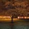 Springfield Country Hotel, Leisure Club & Spa