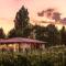 Finca Verde Oliva Wine & Olive Estate