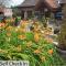 Bridge Farm Guesthouse rooms
