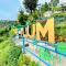 The Plum