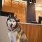 Hyatt Place Tampa Airport/Westshore