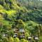 Wishing Tree Boutique Resort - Haputale's Panoramic Hideaway
