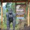 Keije Resort Bunyonyi