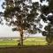 Augusta Sheoak Chalets