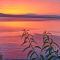 Apartments by the beach Adela Senj