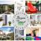 Apartamenty Prywatne w Stegna Forest