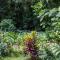 Kay Canou - Vue jardin tropical - Calme & nature