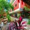 Tam Coc Paradise Homestay