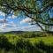 Caplor Glamping & Lodges