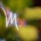 Mercure Roma Centro Saint John