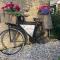 The Rose