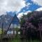 Emotion Kazbegi