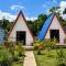 Blue Zone Hostel