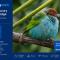 Natural Luxury Birding Lodge - Premium Birdwatching near Cali