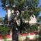 SURF House Villa Rose I Po3a l