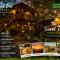 The Travel Tree Hostel