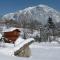 Chamonix petit chalet Cocooning