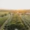Meneghetti Wine Hotel and Winery - Relais & Chateaux