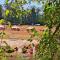 HERTFORD Farm yurt Tent Camping fire pit bbq pet friendly