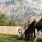 Vidis Chalet Boutique Hotel
