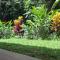 Kay Canou - Vue jardin tropical - Calme & nature