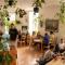 Cinnamon Sally Backpackers Hostel