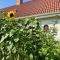 Langagergaard B&B - Thy